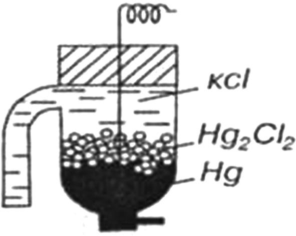 22-rasm. Kalomel elektrod. Bunda: E «agar-agar»li KCl eritmasi to ldirilgan nay orqali tutashtirilgan (22-rasm.