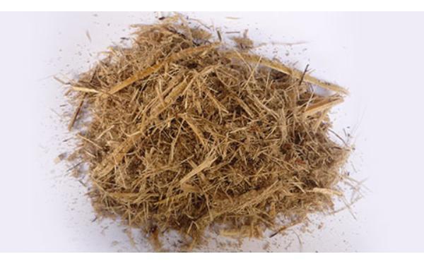Εικόνα 9: Τα μανιτάρια ως υλικό συσκευασίας Το mycelium είναι το φυτικό μέρος ενός μύκητα και βρίσκεται στο έδαφος και σε άλλα υποστρώματα.