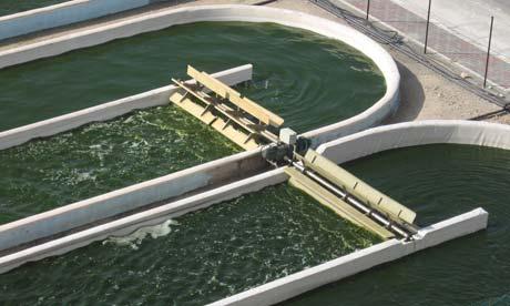 http://algaeforbiofuels.