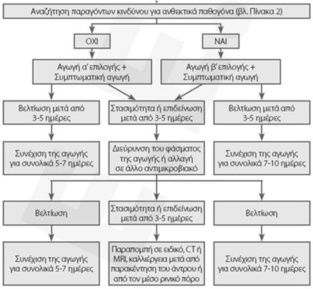 Αλγόριθμος της αντιμετώπισης ασθενούς με ΟΡΚ Παράγοντες κινδύνου για ανθεκτικά παθογόνα: Ηλικία <2 ετών ή >65 ετών, Παιδικός σταθμός, Λήψη αντιβιοτικών τον προηγούμενο μήνα, Νοσηλεία τις προηγούμενες