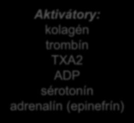 metabolizmom kyseliny arachidonovej vzniká TXA2 (výrazný stimulátor agregácie trombocytov) Aktivátory: aktivácia receptorov GP IIb/IIIa kolagén