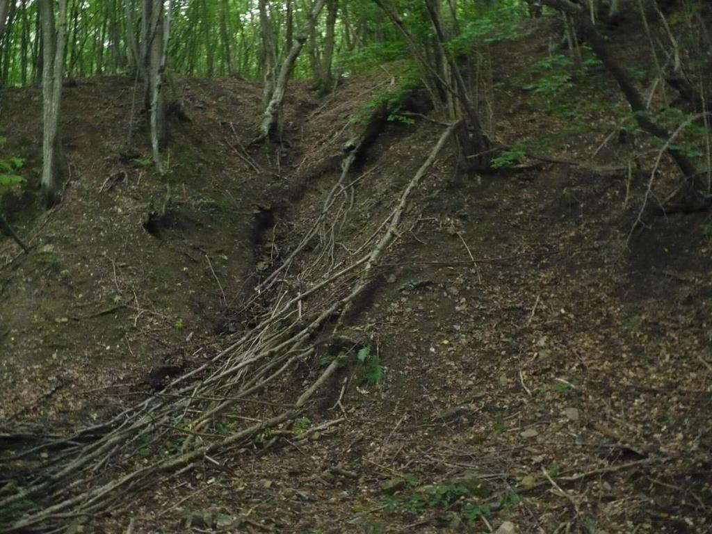 východiská postupu tvorby Krajina