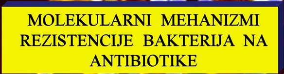 godine), karakterisao se korišćenjem ekstrakata kininovog drveta da bi se uspešno lečila malarija. Godine 162., prvi put je kora kininovog drveta doneta iz Perua u Evropu.