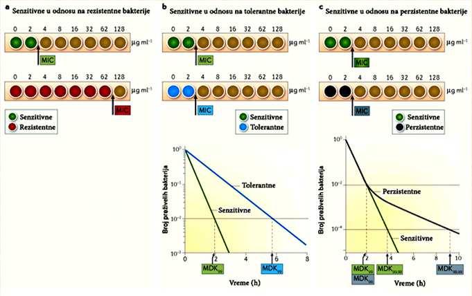 Karakteristike rezistentnih, tolerantnih i perzistentnih ANTIBITIK ACILDEPSIPEPTID Minimalna inhibitorna koncentracija (MIC)je