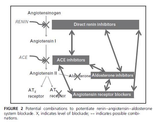 Αναστολείς της ρενίνης ACEIs Αναστολείς της