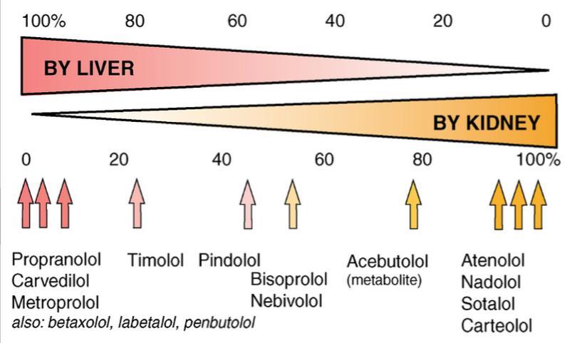 Comparative routes of