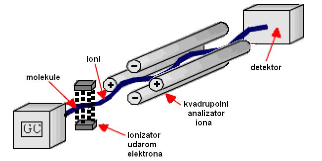 U spektru masa signal s najvećim brojem m/z zove se signal molekulskog iona i obično odgovara molekulskoj masi analizirane molekule, dok signal