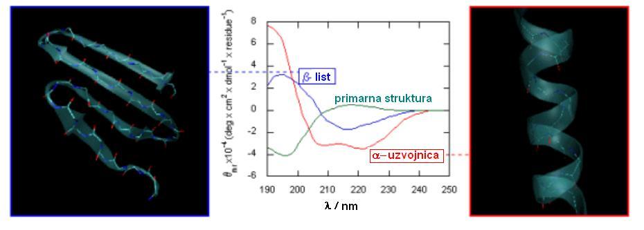 denaturiranog proteina