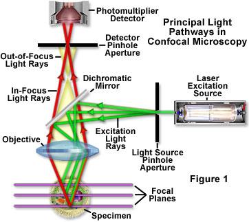 LSCM - laserska