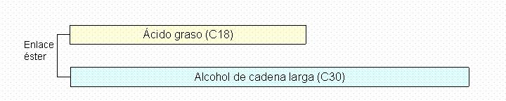 Otros lípidos complejos CERAS: Están formados por un ácido graso que