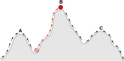 Shifting balance theory Συνδυασμός της