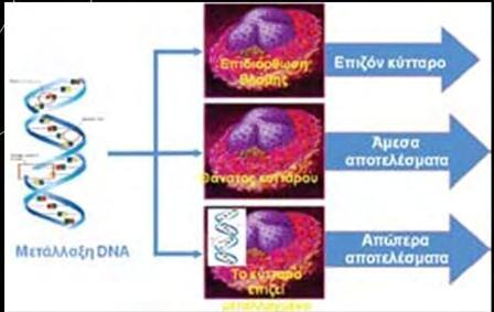 Σχήμα 5: Η μετάλλαξη του DNA που προήλθε από τη