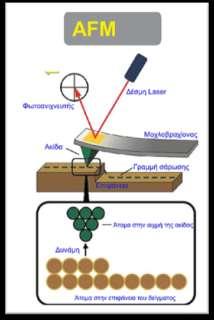 (α) (β) Τυπική διάταξη λειτουργίας του AFM Μορφολογία της επιφάνειας του χαλκού Το AFM μπορεί να δουλέψει είτε με την ακίδα σε επαφή με το δείγμα, είτε με την ακίδα να χτυπά ελαφρά την επιφάνεια όπως