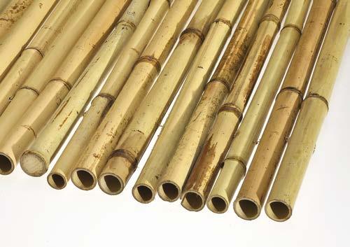 bamboo 18-22 mm 004 Καλαμωτές