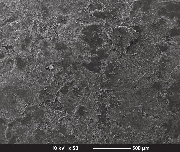 cm ion 2.
