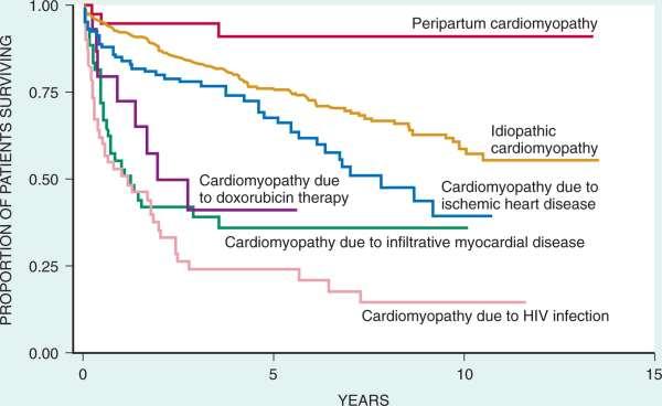 Variable survival in patients with dilated cardiomyopathy depending on