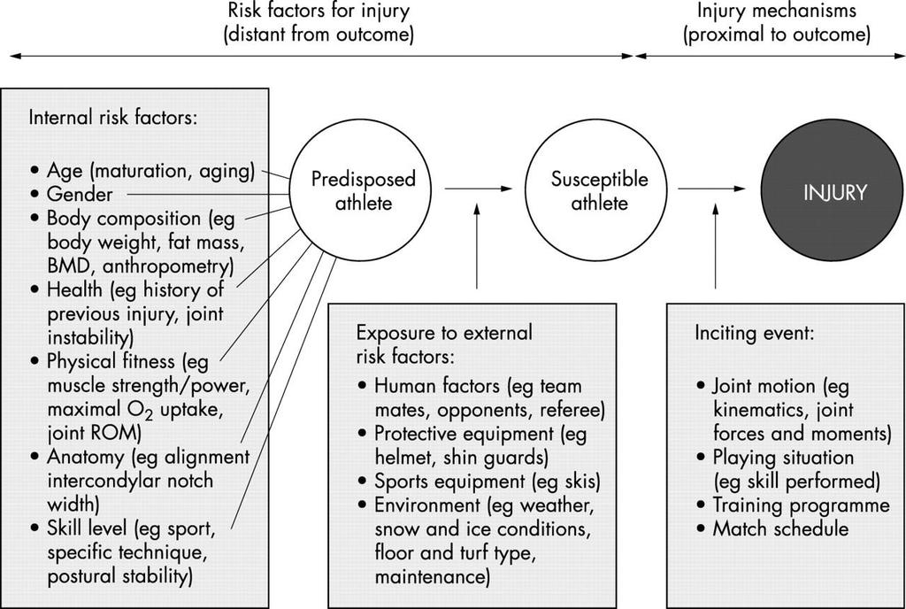 Εικόνα 4.1: Εξωγενείς και ενδογενείς παράγοντες με βάση το μοντέλο του Meeuwisse (1994) 4.3 ΠΡΟΛΗΨΗ ΑΘΛΗΤΙΚΩΝ ΚΑΚΩΣΕΩΝ Οι αθλητικές κακώσεις αποτελούν τους συχνότερους τραυματισμούς στον δυτικό κόσμο.