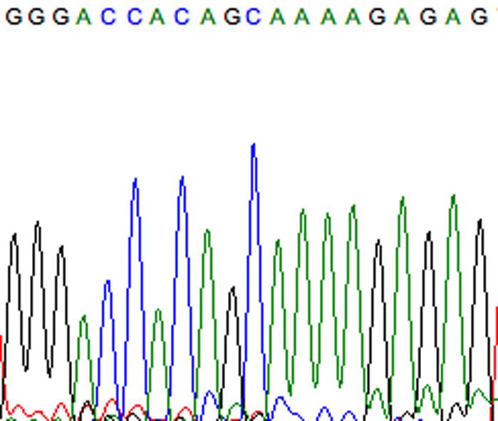 Sanger sequencing.