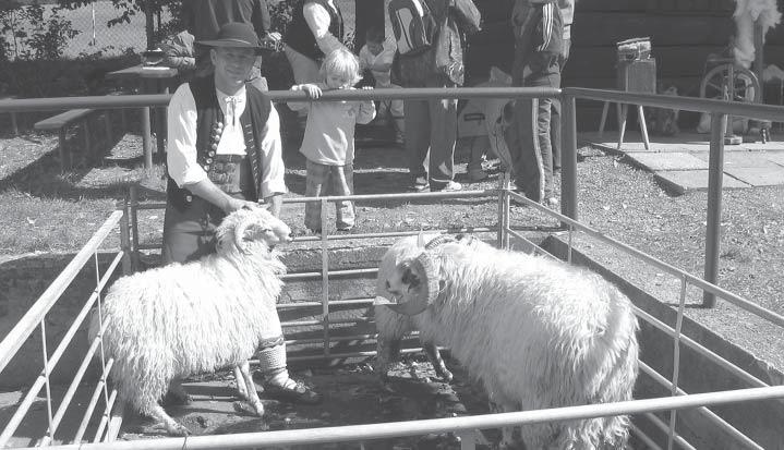 Toto príjemné stretnutie chovateľov oviec a kôz malo okrem výstavy zvierat aj odborné poslanie, pretože sa tu konala