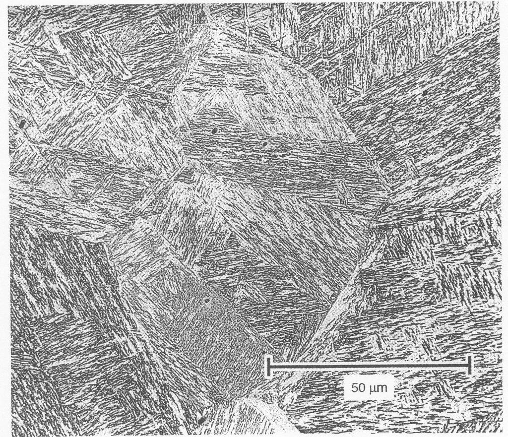 περιεκτικότητες σε άνθρακα σχηματίζεται μίγμα των δύο μορφών Εικ 48 Μαρτενσίτης σε φύλλα, σε χάλυβα με χαμηλή περιεκτικότητα σε άνθρακα Προσβολή με nital 2% Παρατηρούμε ότι το