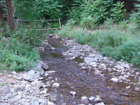 МАЛА БОЉЕТИНСКА РЕКА Истраживањима Мале Бољетинске реке спроведеним у периоду од 2011.