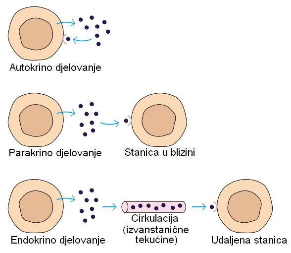 na udaljenost do ciljne