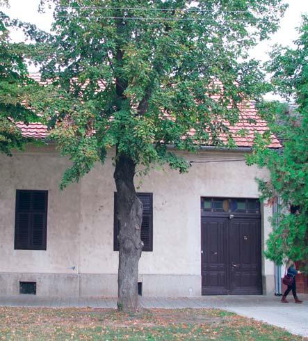 Регион 5, Воводина Region 5, Vojvodina 4 5 6 4 3 7 Основа приземља Ground floor Б3 B3 <50% [] трем, [] трпезарија, [3] кухиња, [4] спаваћа соба, [5] дневна соба, [6] купатило, [7] остава [] Porch, []