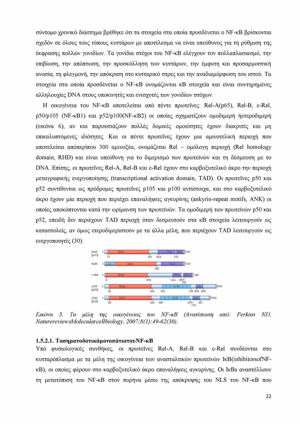 σύντομο χρονικό διάστημα βρέθηκε ότι τα στοιχεία στα οποία προσδένεται ο NF-κΒ βρίσκονται σχεδόν σε όλους τους τύπους κυττάρων με αποτέλεσμα να είναι υπεύθυνος για τη ρύθμιση της έκφρασης πολλών