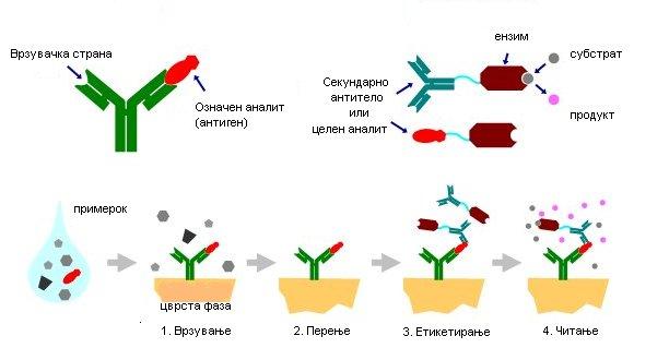 Figure 13.