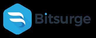 www.bitsurge.