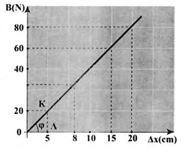 6 Δυναμική σε μια διάσταση Άρα, αν χρησιμοποιήσουμε τη σχέση Β = ΚΔx ο πίνακας συμπληρώνεται ως εξής: Επιμήκυνση (cm) 5 8 0 5 0 Βάρος (Ν) 0 3 40 60 80 Β.