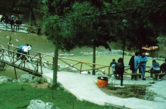 ΣΠΟΥΔΑΣΤΗΡΙΟ ΔΑΣΙΚΗΣ ΑΝΑΨΥΧΗΣ, ΠΕΡΙΒΑΛΛΟΝΤΙΚΗΣ ΑΓΩΓΗΣ & ΚΟΙΝΩΝΙΟΛΟΓΙΑΣ Διευθύντρια