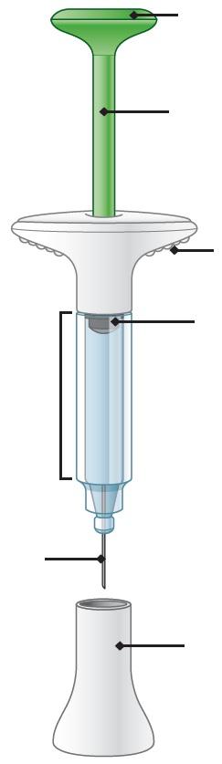 Οδηγός εξαρτημάτων Υποδοχή για τον αντίχειρα Πράσινη ράβδος εμβόλου Λαβές δακτύλων Σώμα σύριγγας που περιέχει το φάρμακο Γκρι έμβολο σύριγγας Βελόνα Κάλυμμα Βελόνας 1 ΕΤΟΙΜΑΣΤΕΙΤΕ 1α 1β Βγάλτε τη