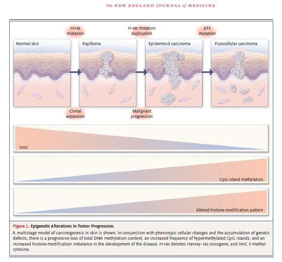 Esteller M, NEJM,
