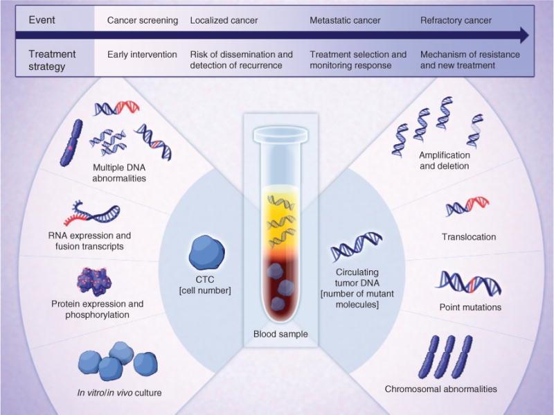 CTCs better understanding of tumor biology and tumor cell dissemination molecular characterization info on the biology of metastasis and resistance to established therapies Liquid biopsy Daniel A.