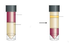 Methodology 20 ml Peripheral
