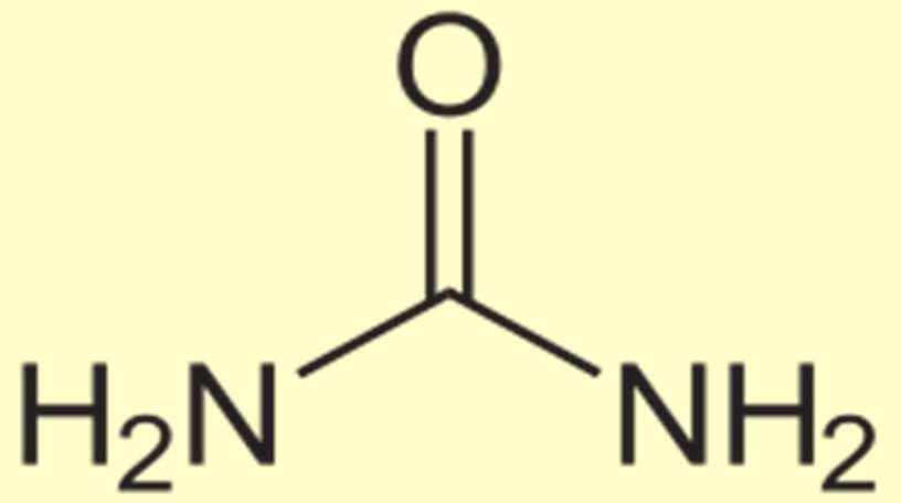 Ουρία και άζωτο ούρων Υπολογίζουμε ότι 60 g ουρίας περιέχουν 28 g αζώτου.