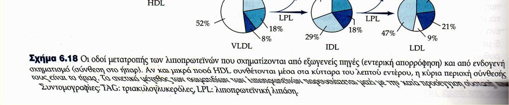 σχημάτιζονται από