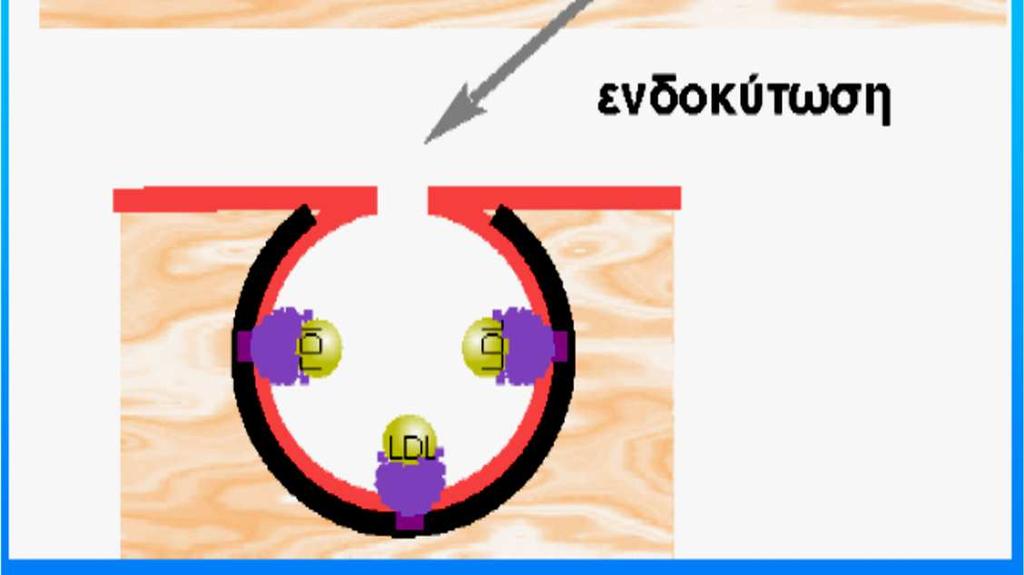 Σε κάθε τέτοιο σχηματισμό υπάρχουν περίπου 1.