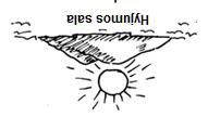 Salų kortelės su instrukcijomis