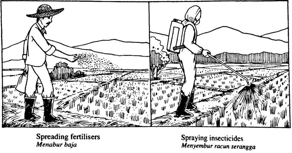 (b) Rajah menunjukkan dua aktiviti pertanian yang menggunakan produk bahan kimia.