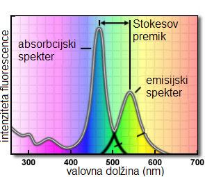 osnovno stanje emitira svetlobo druge, višje