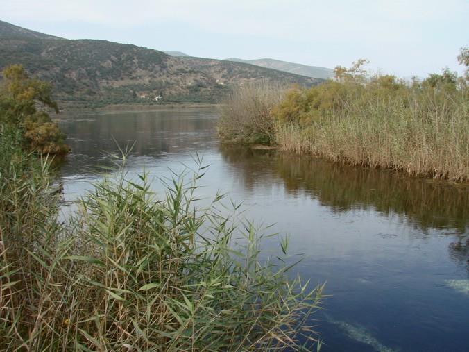 Φύλλα αντιπροσωπευτικών ειδών συλλέγονται στο Μουστό Αρκαδίας