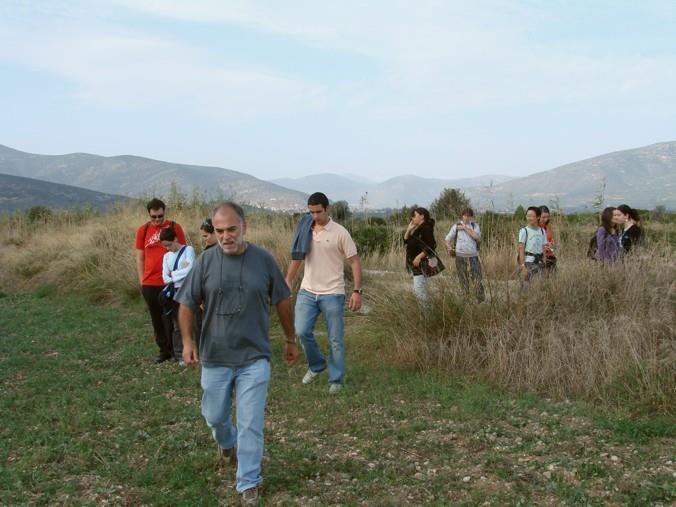 Φύλλα αντιπροσωπευτικών ειδών