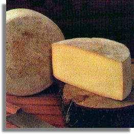 λιποπεριεκτικότητα σε αλάτι 2%. Είναι εκλεκτό επιτραπέζιο τυρί με ευχάριστη υπόγλυκη γεύση και πλούσιο άρωμα.