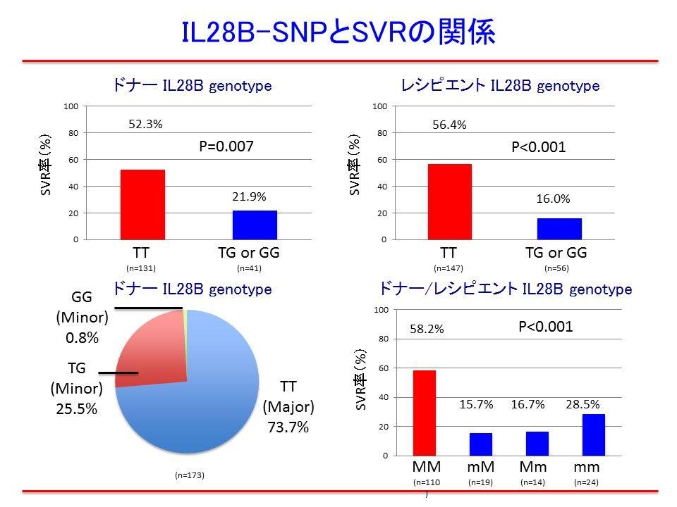 4%TG/GG(minor)16.0% 172 TT major 131 (76.2%)TG/GG minor 41 (23.8%)SVR major 52.3%minor 21.