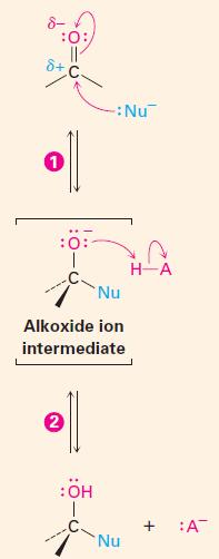 CH 3 + Cl CH 3 Cl Acestea sunt reacții normale de stabilizare ale radicalilor liberi, prin recombinare sau prin dimerizare.