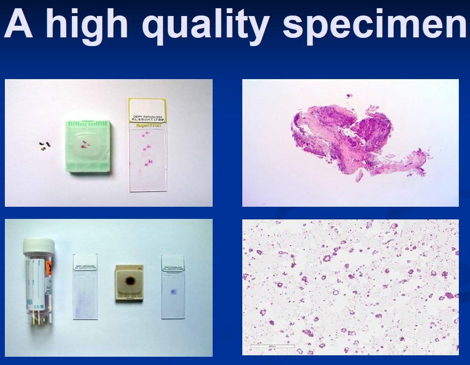 Pathologist needs a high quality