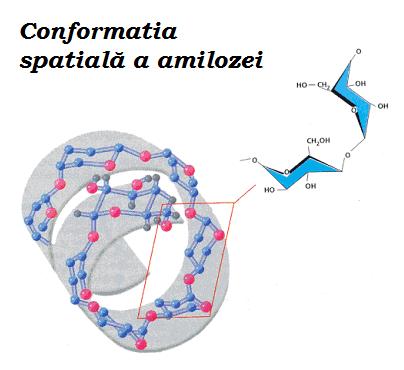 Amiloza are structiră liniară,