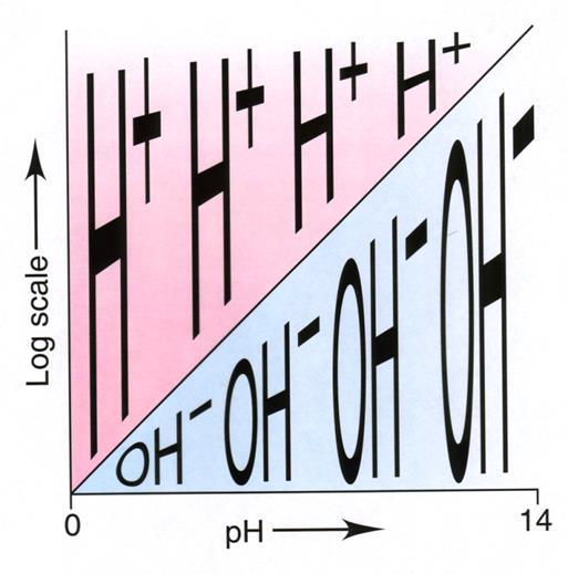 10 است: 14- *معموال در دمای اتاق بازۀ تغییرات غلظت + O H 3 بین -1 1mol.L و ph min = - [ ]=-log 1=0 ph max = - [ ]=-log 10-14 =14 ph = - [ ]=-log 10-7 =7 *غلظت + O H 3 در آب خالص برابر 1- mol.